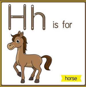 horse